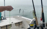 Danco Bait Stik Sabiki Rod