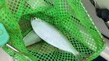 Danco Bait Stik Sabiki Rod