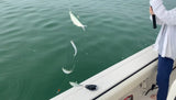 Danco Bait Stik Sabiki Rod