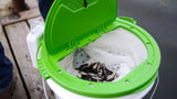 Bait Butler and RFA Rope Handle Bucket combo