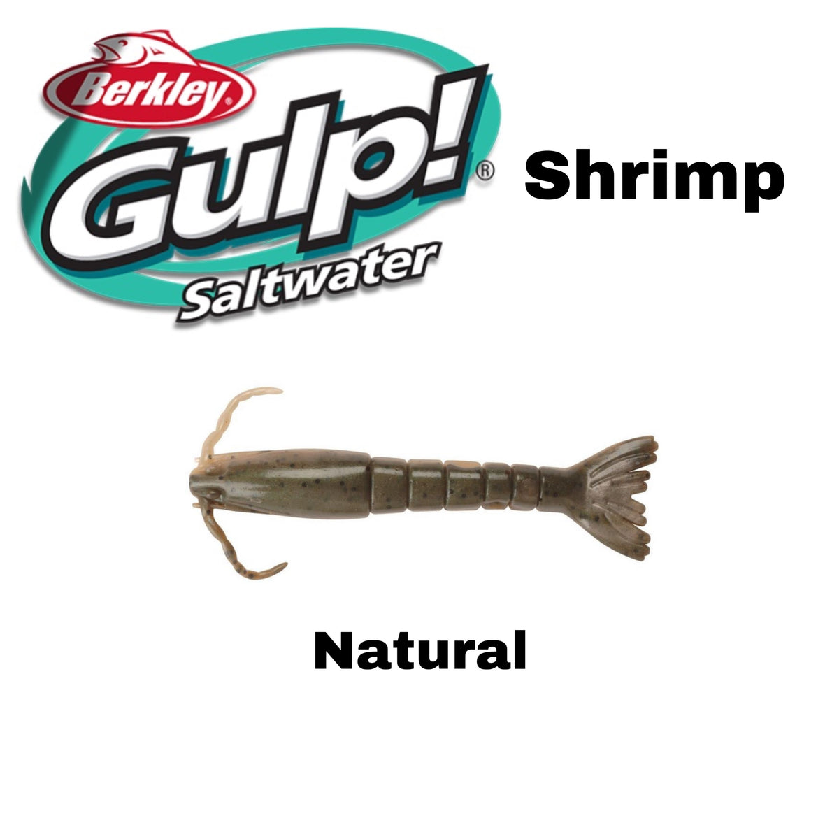 Berkley Gulp Saltwater Ghost Shrimp Bait, 3-Inch