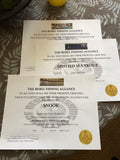 Custom Vinyl 1x3” Campaign Ribbon Awards