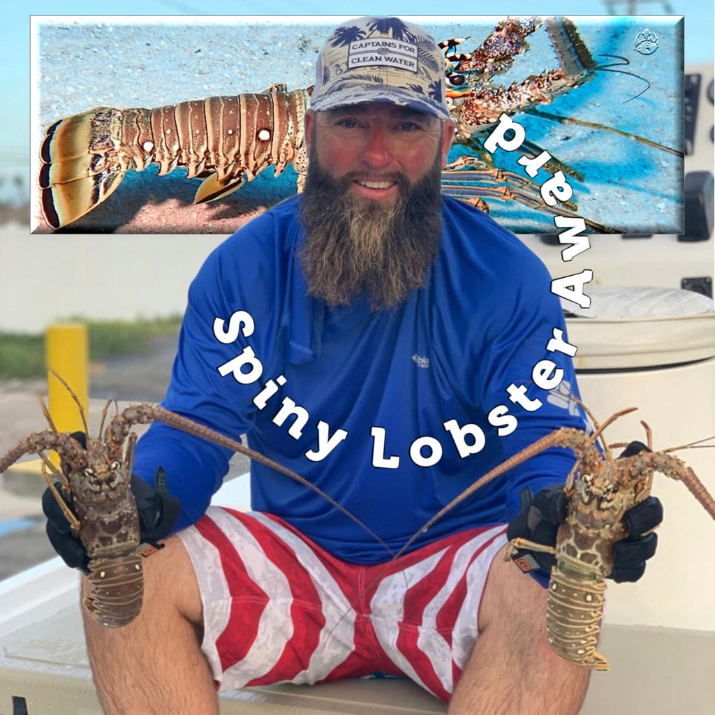 The Caribbean Spiny Lobster - Complete Overview