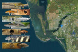 Inshore/Nearshore Fishing Trip