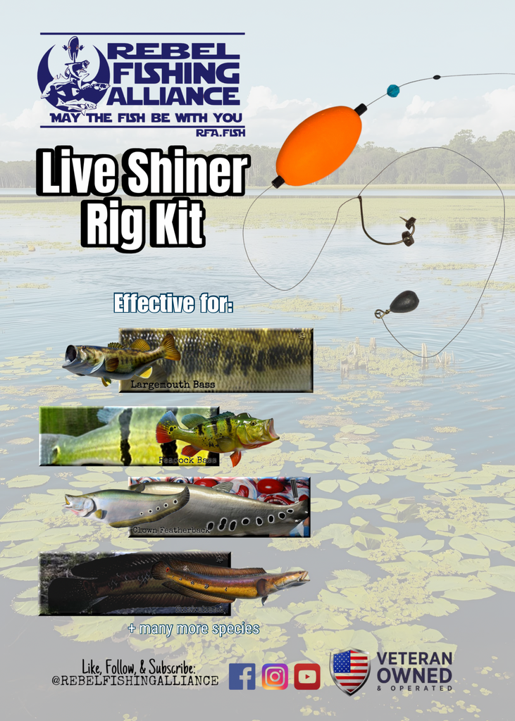 best hooks for bass fishing with shiners Shiner Rig – Rebel Fishing Alliance